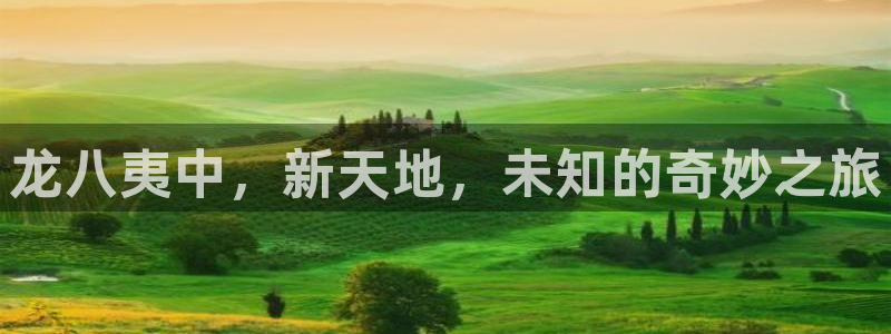 辉达平台app哪个模式容易赢