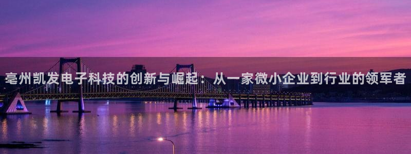 壹号电子娱乐app
