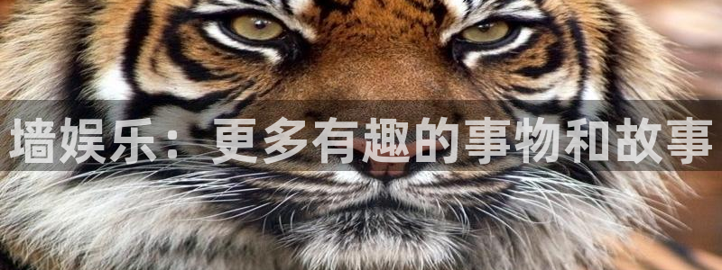 南宫辉达平台
