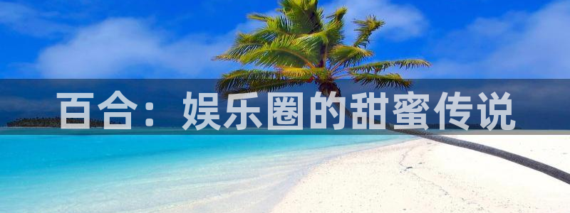 辉达平台平台官网入口