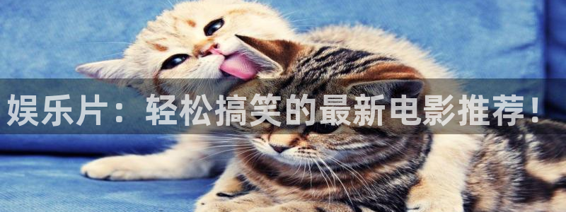 辉达平台注册官网入口