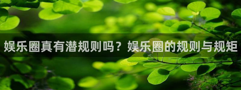 壹号下载安装