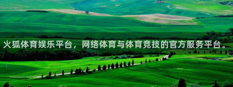 辉达平台是正规平台吗