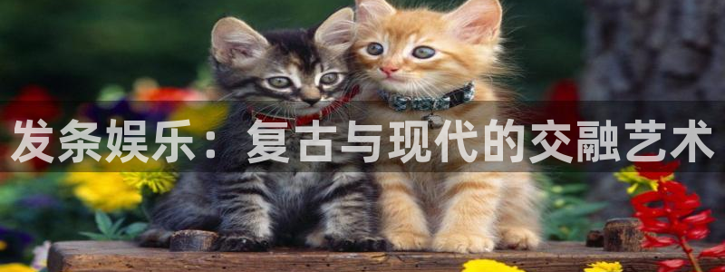 南宫辉达平台