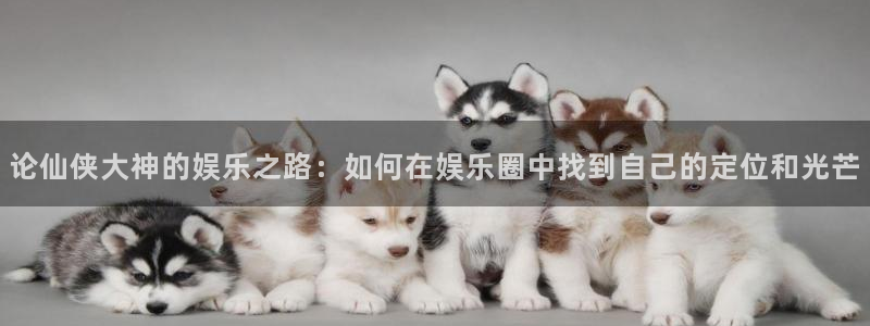 辉达平台是啥