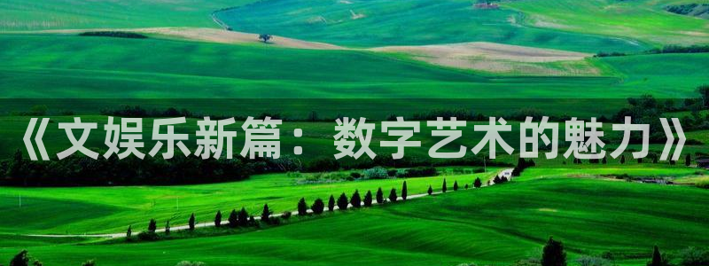 辉达平台注册入口与教程