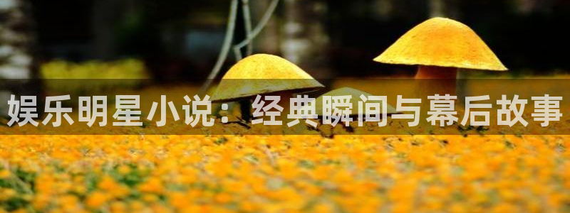 辉达平台网址