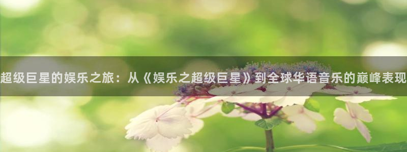 辉达平台平台官方入口下载