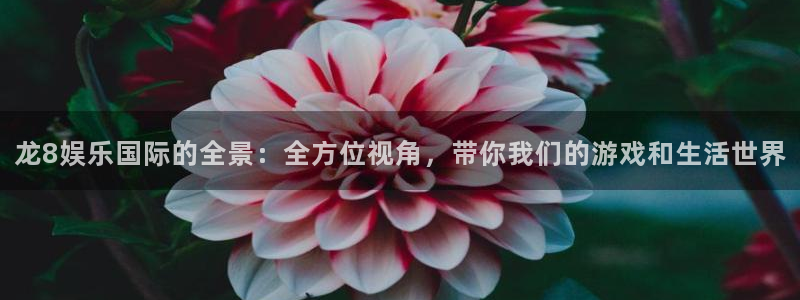 辉达平台放水时间