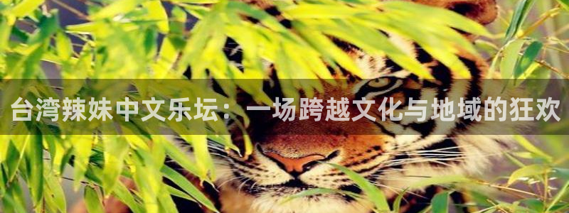 辉达平台app网页入口