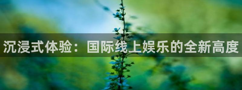 辉达平台平台官网版下载