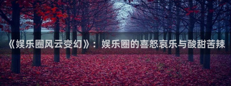 辉达平台麻将胡了：《娱乐圈风云变幻》：娱乐圈的喜怒哀乐与酸甜苦辣