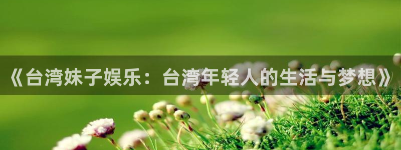 辉达平台app注册地址：《台湾妹子娱乐：台湾年轻人的生活与梦想》