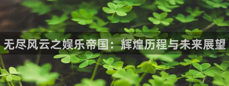 辉达平台com：无尽风云之娱乐帝国：辉煌历程与未来展望