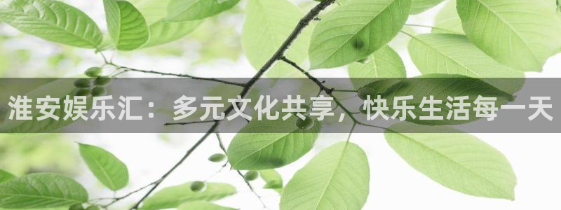 辉达平台平台官方入口：淮安娱乐汇：多元文化共享，快乐生活每一天