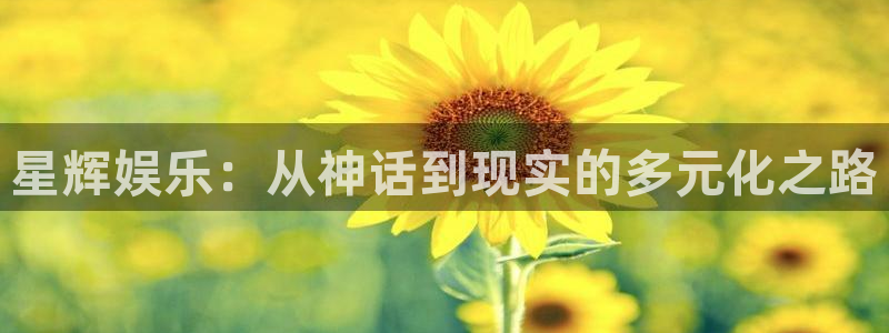 壹号大舞台：星辉娱乐：从神话到现实的多元化之路