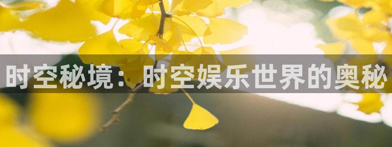 壹号大舞台官网：时空秘境：时空娱乐世界的奥秘