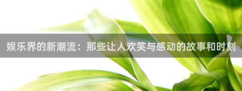 辉达平台.ccmpc正版官网版下载：娱乐界的新潮流：那些让人欢笑与感动的故事和时刻