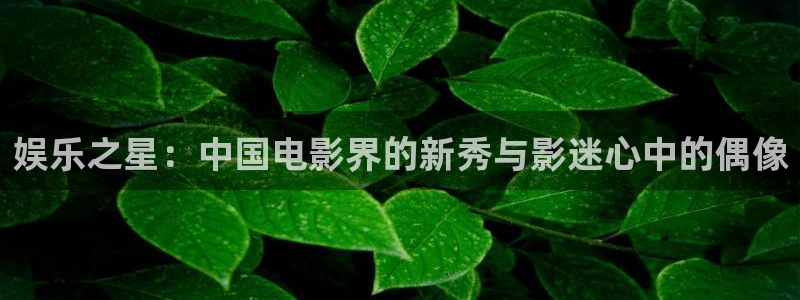 辉达平台平台最新版本下载：娱乐之星：中国电影界的新秀与影迷心中的偶像