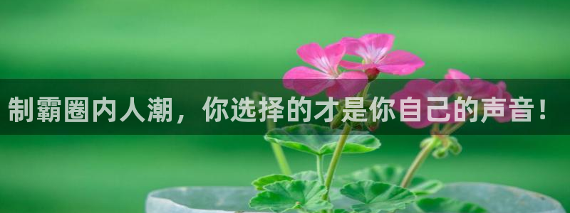 辉达平台app新版上线体验.游戏更新入口.中国：制霸圈内人潮，你选择的才是你自己的声音！