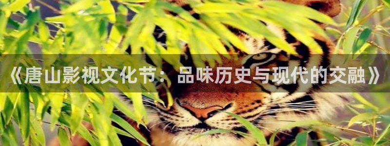 伟德国际集团 壹号(one game)：《唐山影视文化节：品味历史与现代的交融》