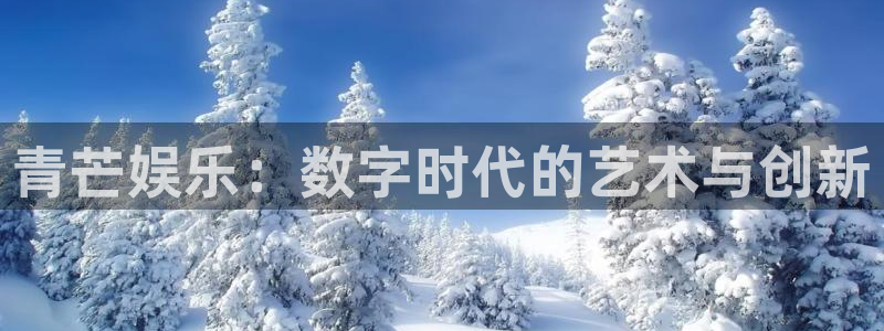 辉达平台是正规平台吗：青芒娱乐：数字时代的艺术与创新