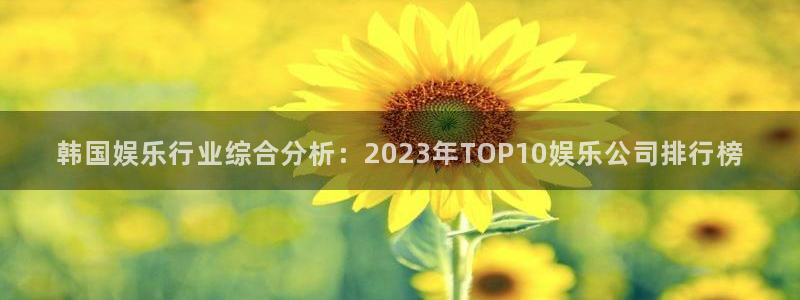 辉达平台下载并安装：韩国娱乐行业综合分析：2023年TOP10娱乐公司排行榜