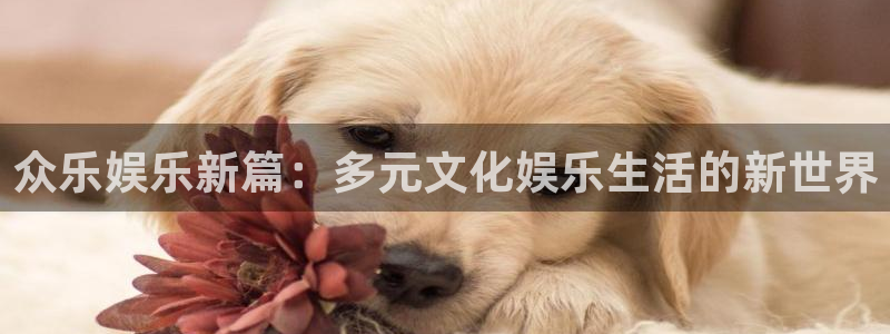 壹号大舞台入口：众乐娱乐新篇：多元文化娱乐生活的新世界