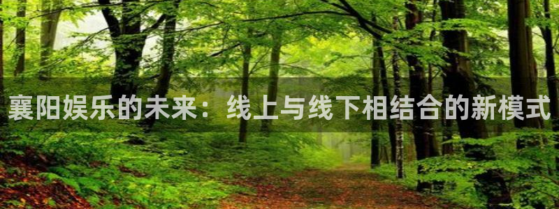 辉达平台com：襄阳娱乐的未来：线上与线下相结合的新模式