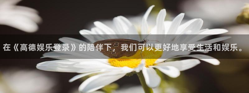 辉达平台游戏官网版：在《高德娱乐登录》的陪伴下，我们可以更好地享受生活和娱乐。