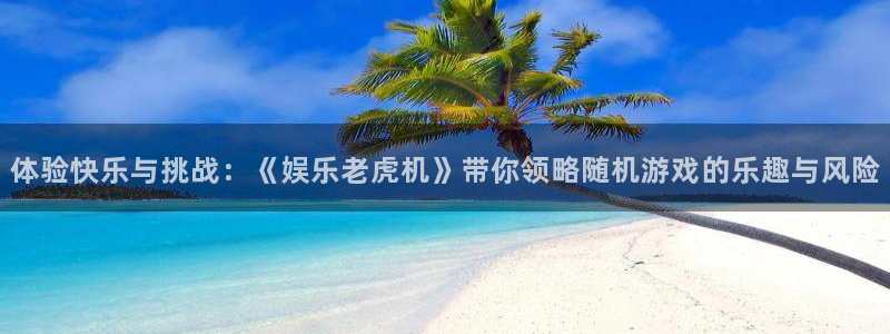 辉达平台注册网站：体验快乐与挑战：《娱乐老虎机》带你领略随机游戏的乐趣与风险