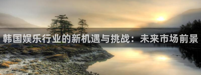 辉达平台app入口：韩国娱乐行业的新机遇与挑战：未来市场前景